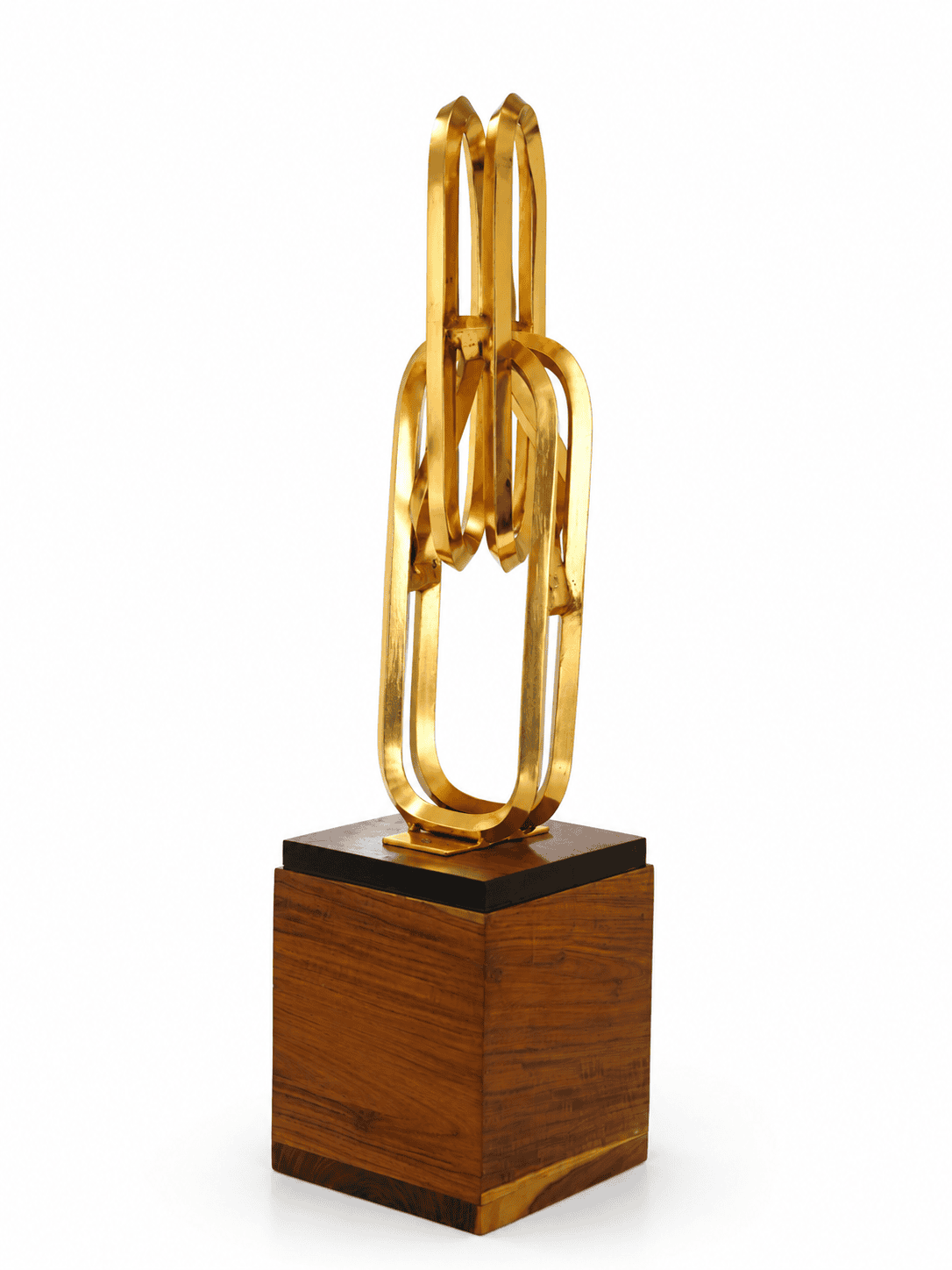 TROPHY - Image 3